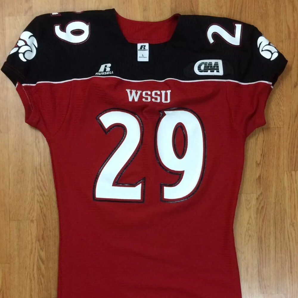 WSSU Rams Authentic Game Worn Football Jersey #29